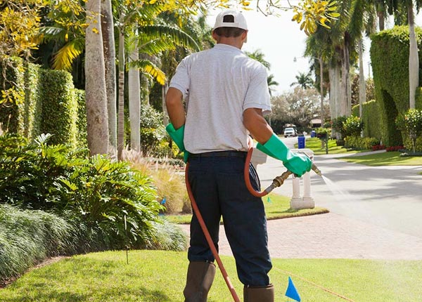 About Sidney OH Pest Control